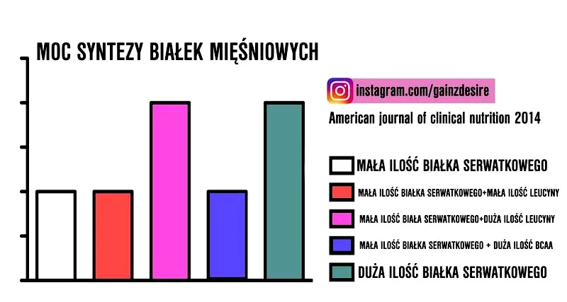 Białko przed czy po treningu? Naukowe fakty dla lepszych efektów