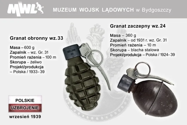 Granat – odkryj sekrety, jak jeść, by cieszyć się jego właściwościami i korzyściami