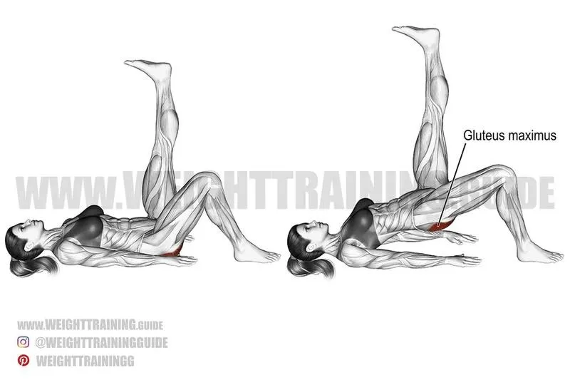 Hip thrust – jak zrobić idealnie, by skutecznie angażować pośladki?