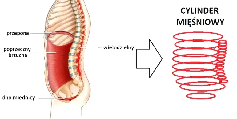 Jak wzmocnić mięśnie core i skutecznie stabilizować tułów?