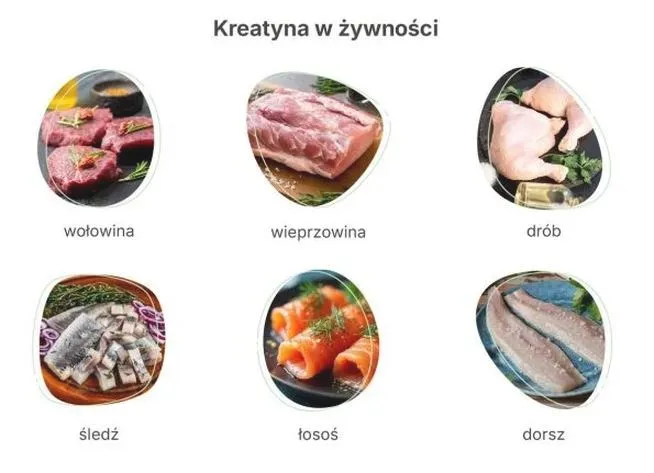 Kreatyna u młodych sportowców: od ilu lat i kiedy ma sens?
