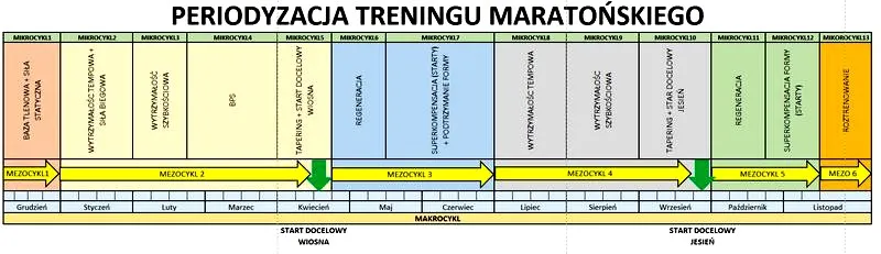 Periodyzacja treningu: jak planować progres bez stagnacji
