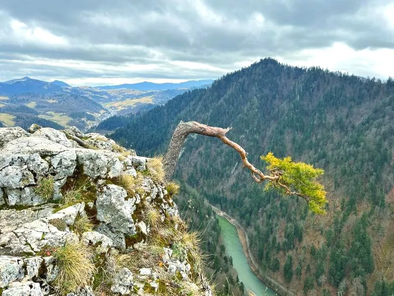 Pieniny na rowerze: Odkryj najciekawsze trasy i najlepsze wypożyczalnie w regionie