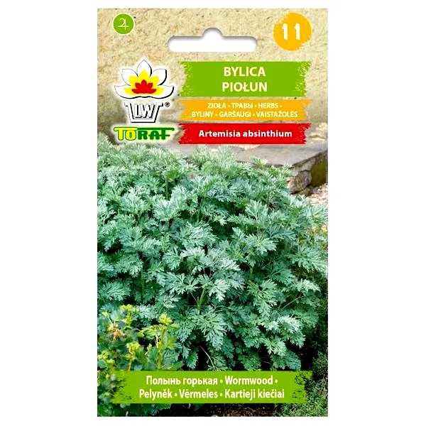 Piołun – naturalny lek czy niebezpieczny ziołowy trucizna? Dowiedz się, kiedy pomaga, a kiedy szkodzi!