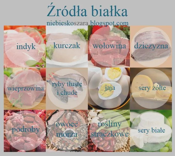 Białko dla sportowców