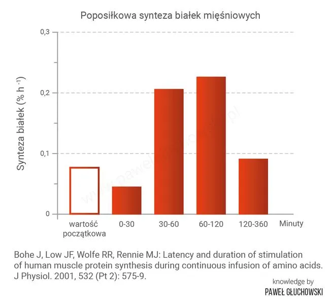 Białko po treningu