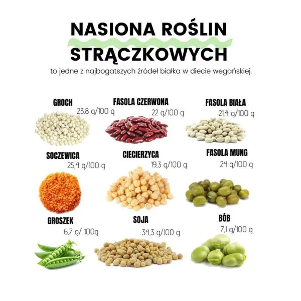 Białko w diecie