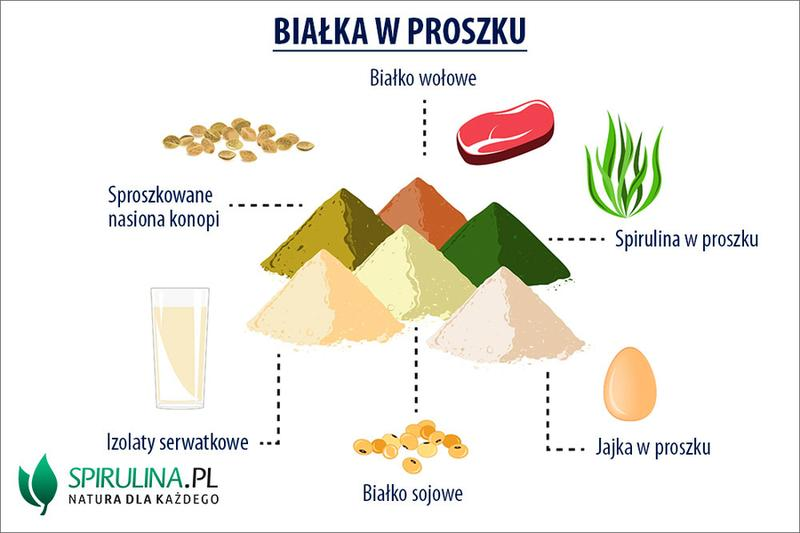 Białko w proszku