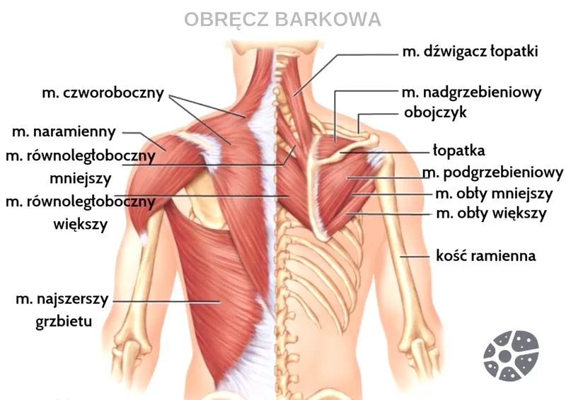 Ćwiczenia łagodzące ból