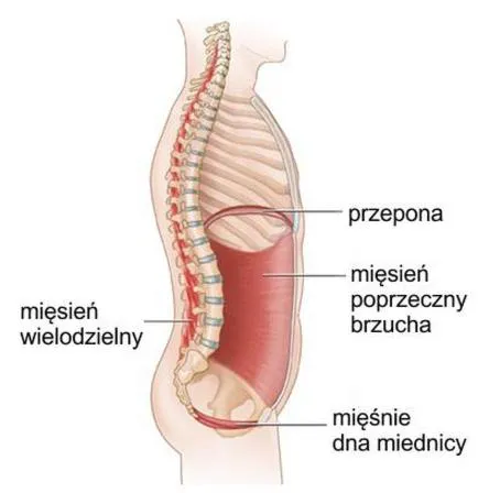 Ćwiczenia na mięśnie core