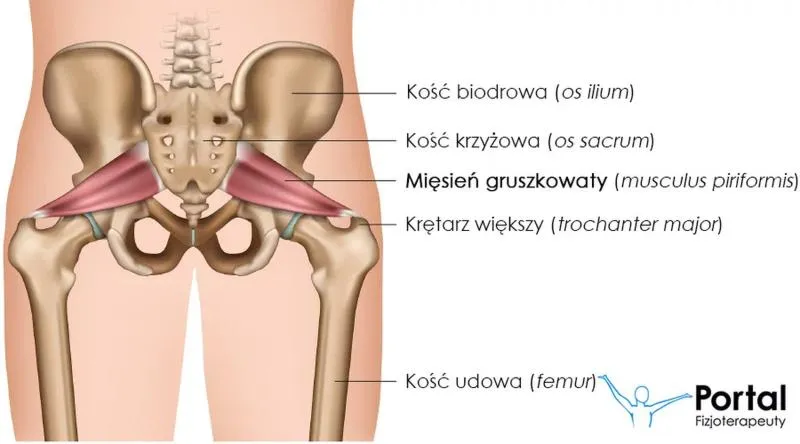 Ćwiczenia rehabilitacyjne