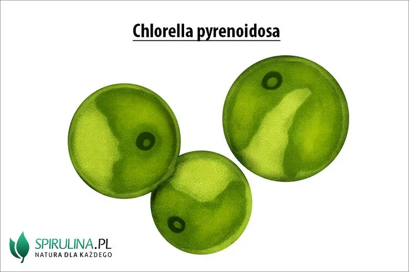 Jak oszczędzać na suplementach