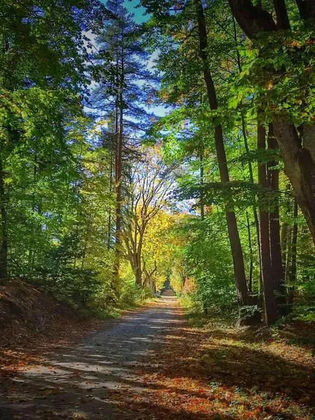 Trasa Zwierzyniec Florianka