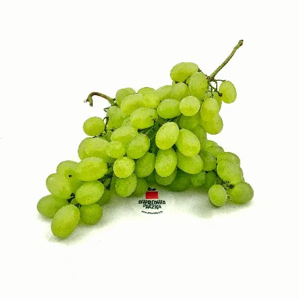 Winogrona źródło zdrowia