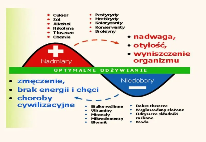 Zbilansowane posiłki po treningu
